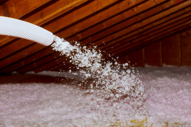Best Insulation Maintenance and Repair in South Lyon, MI