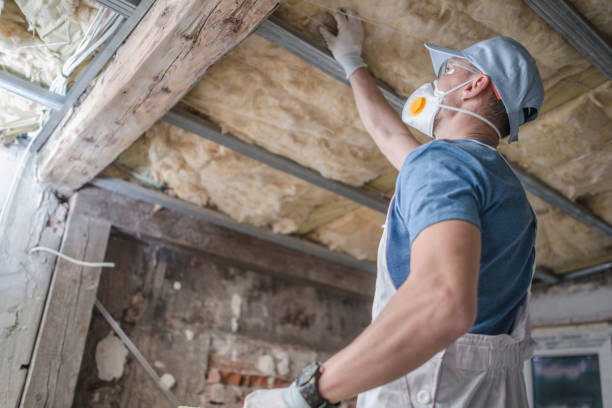  South Lyon, MI Insulation Contractor Pros