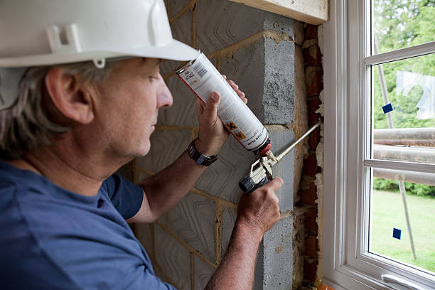 Best Geographic-Specific Insulation Services in South Lyon, MI