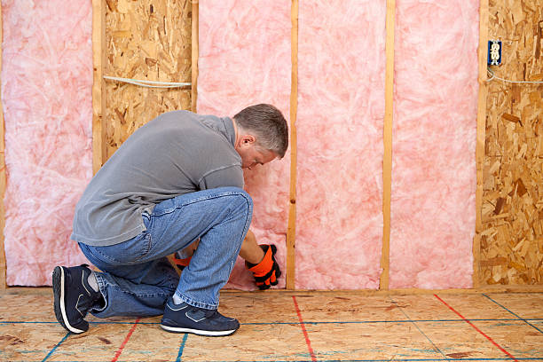 Best Spray Foam Insulation in South Lyon, MI